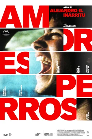 Amores Perros (2000) poster